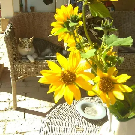 Per Gruppi Casa Santa Lucia