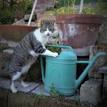 Per Gruppi Villa Casa Santa Lucia